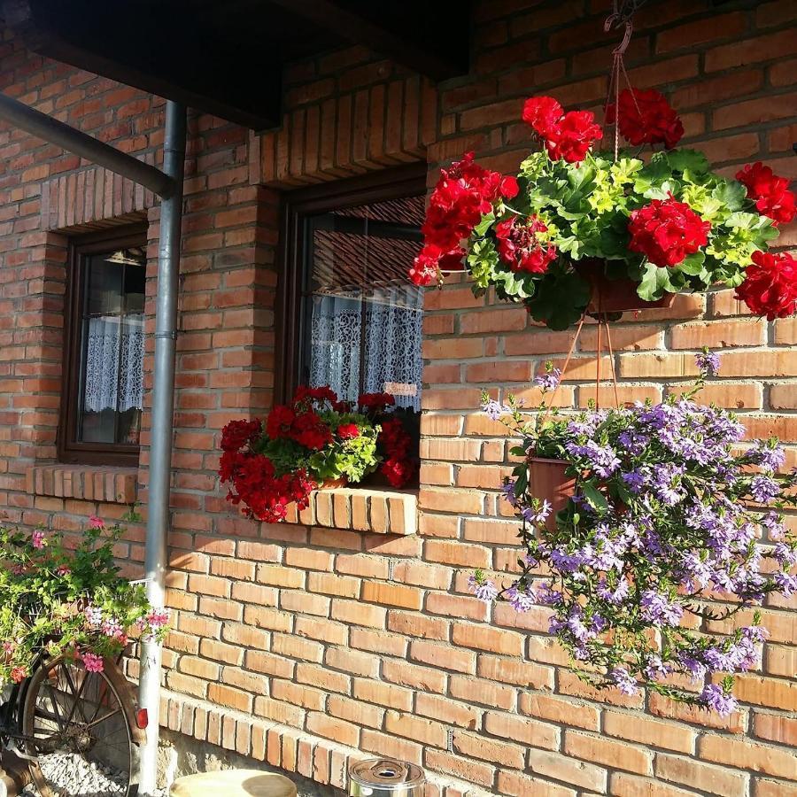 Gosciniec Galkowo Guest House Luaran gambar